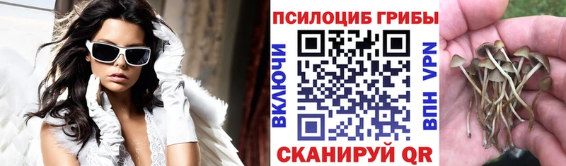 Псилоцибиновые грибы ЛСД  Калининград 