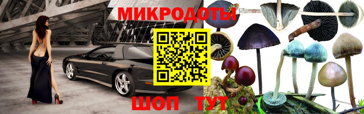 Лсд 25 Калининград